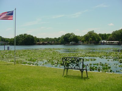 St. John's River