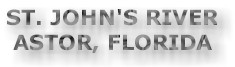 ST JOHN'S RIVER