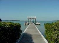 THE DOCK